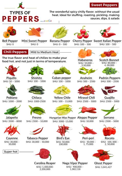 hot peppers ranked|More.